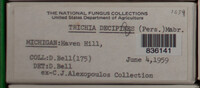 Image Associated With the Occurence